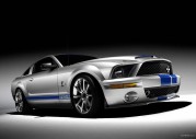 Shelby Cobra GT500 Show Car